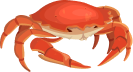 crab