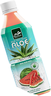 watermelon aloe drink