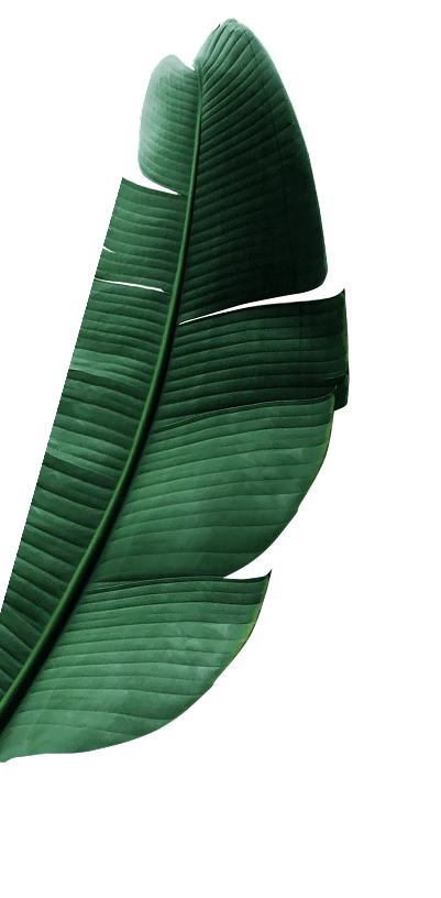 leaf Left