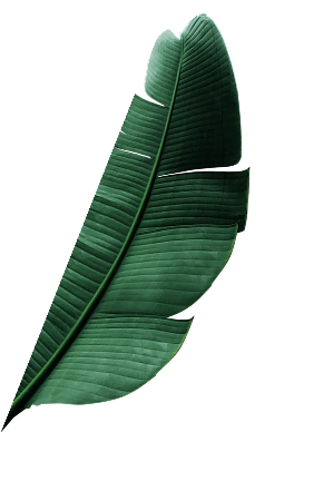 left leaf