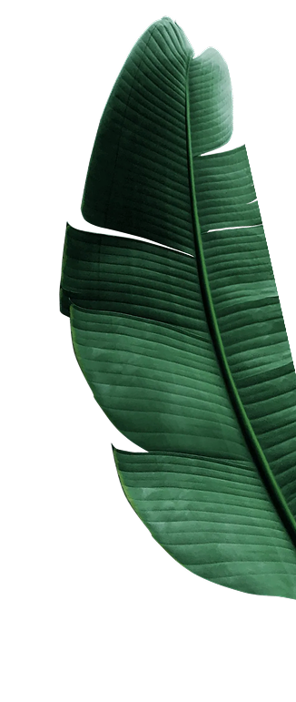 leaf Right