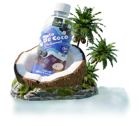 Nata coconut Blackcurrant